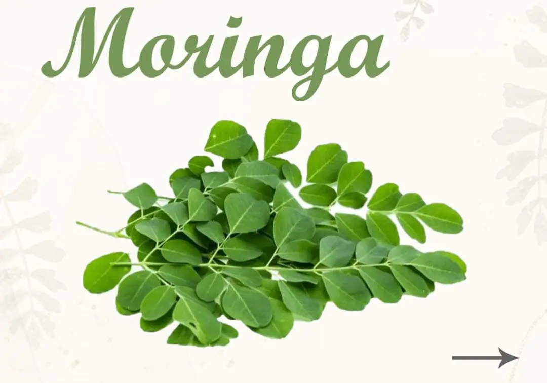 Wonders Moringa does for your Skin and Hair - Araah Skin Miracle